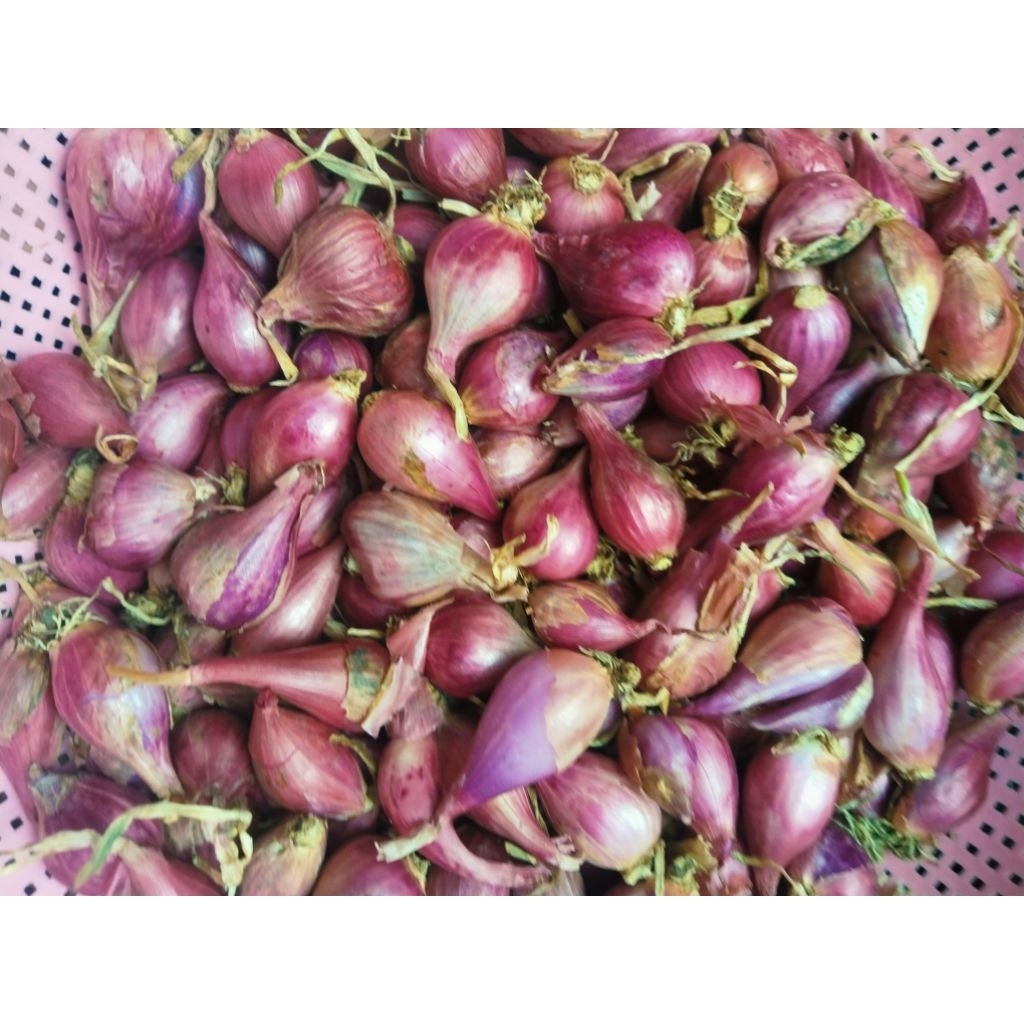 

BAWANG MERAH BEREBES UKURAN KECIL 1KG