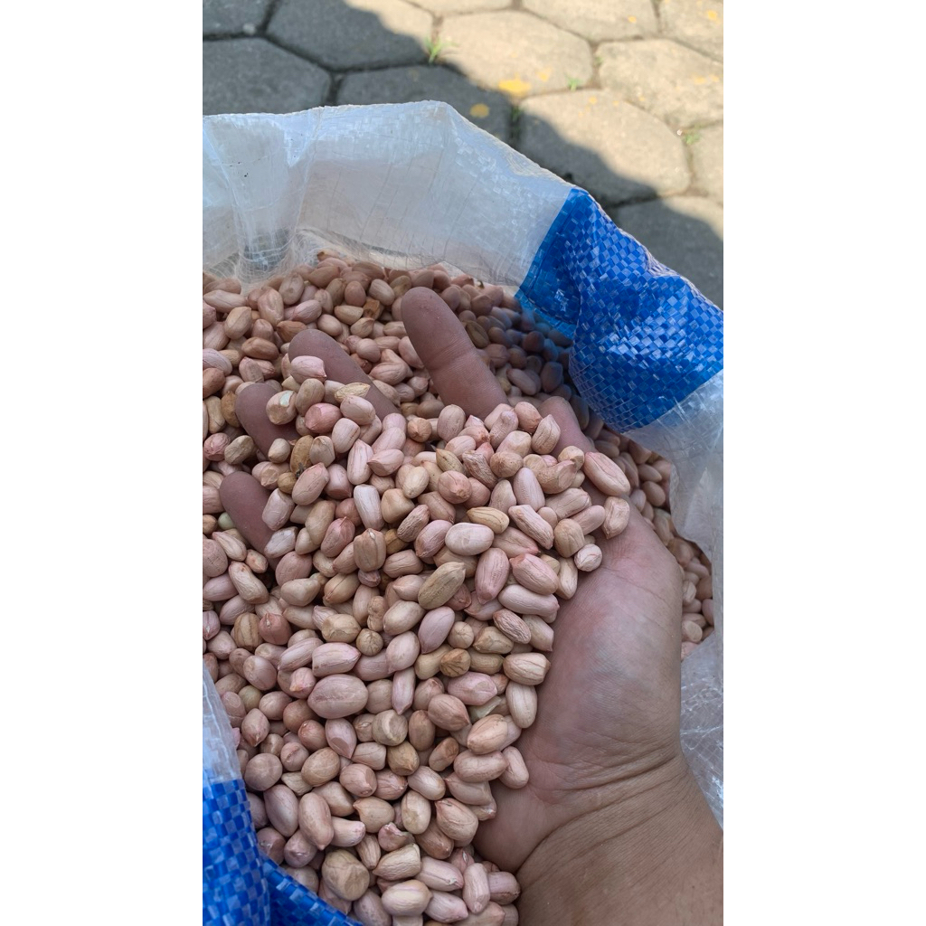 

kacang tanah 1 kg bersih dan putih
