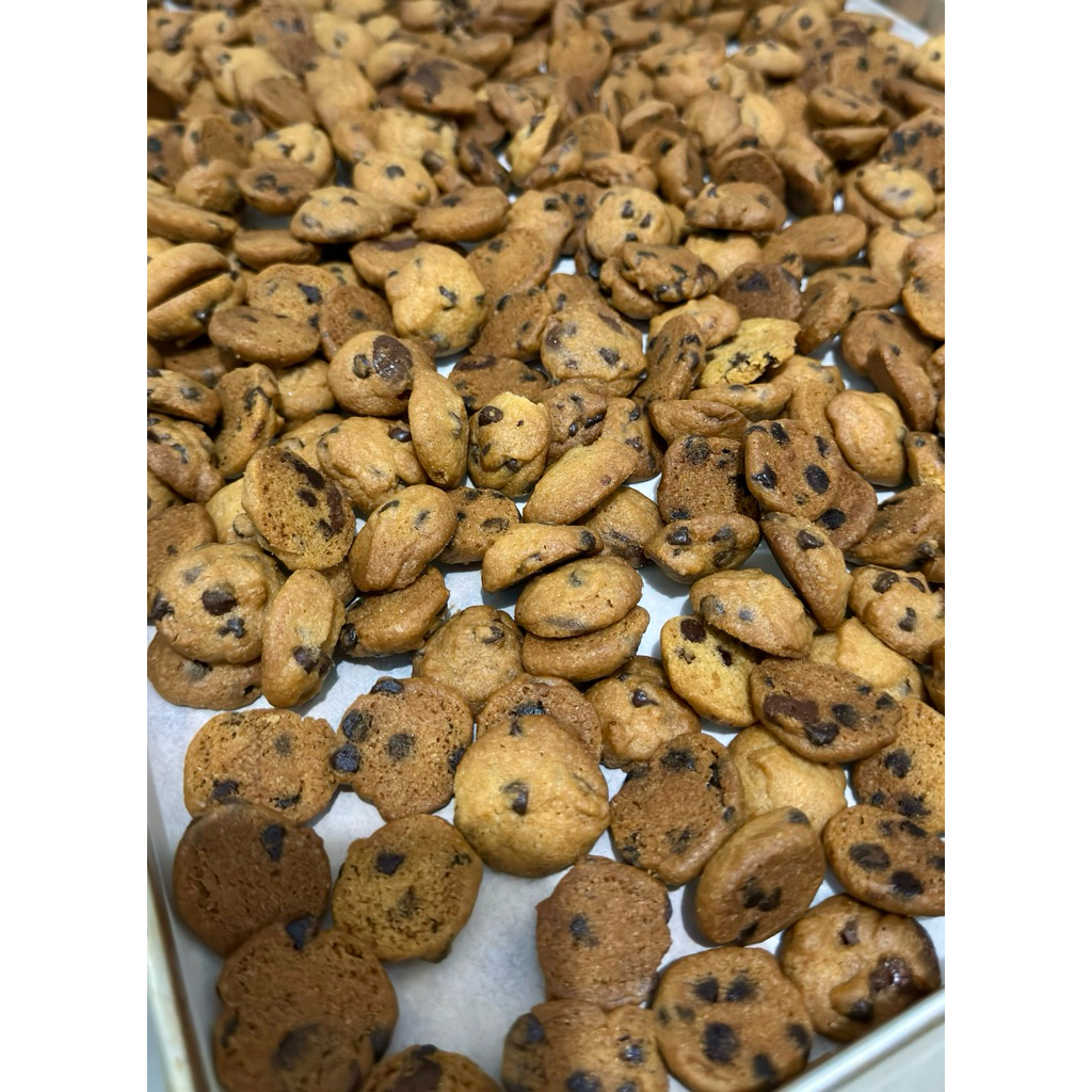 

Mini Cookies Panggang Coklat Crunchy dalam Toples | Dotties by Lagilah