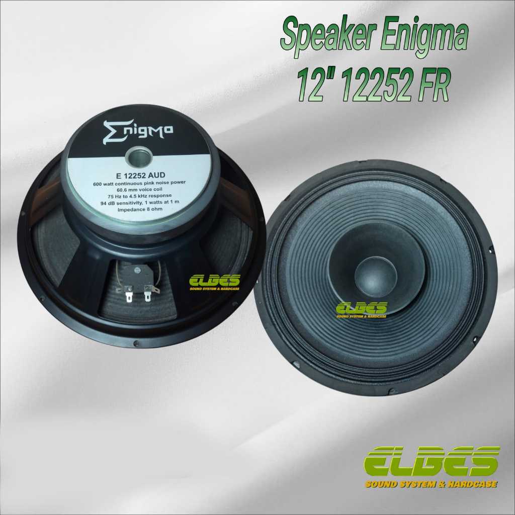 Speaker 12in ENIGMA 12252 FR fullrange