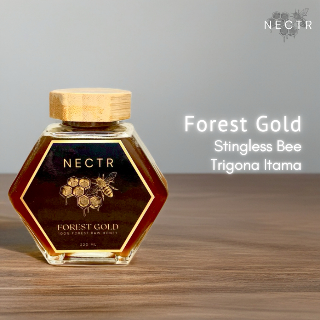 

[NECTR Forest Gold 380ml] Madu Trigona (Stingless Bee) | Kaya Propolis & Antioksidan
