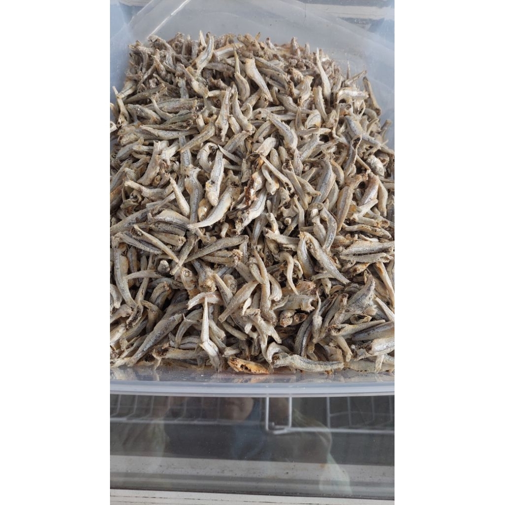 

Ikan Asin Teri Jengki Per Ons