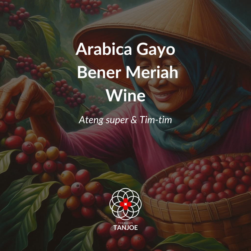 

Green Beans Gayo Wine Process Coffee Specialty 1kg