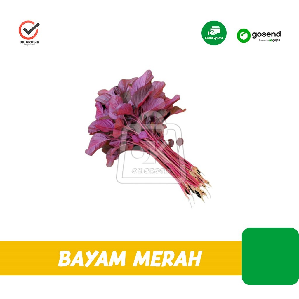 

Bayam Merah Organik Sayuran Segar Fresh (KHUSUS INSTANT)