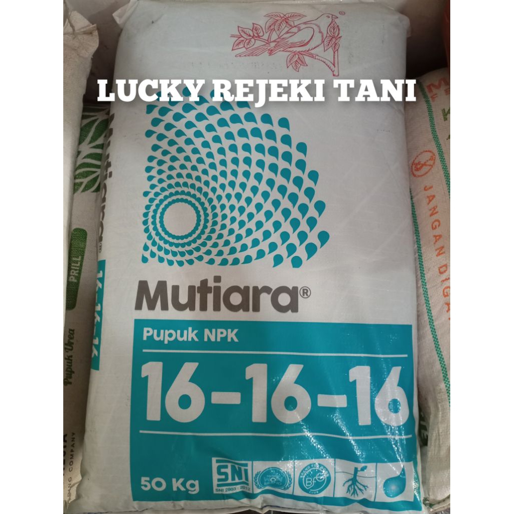pupuk npk mutiara 16 16 16 50 kg