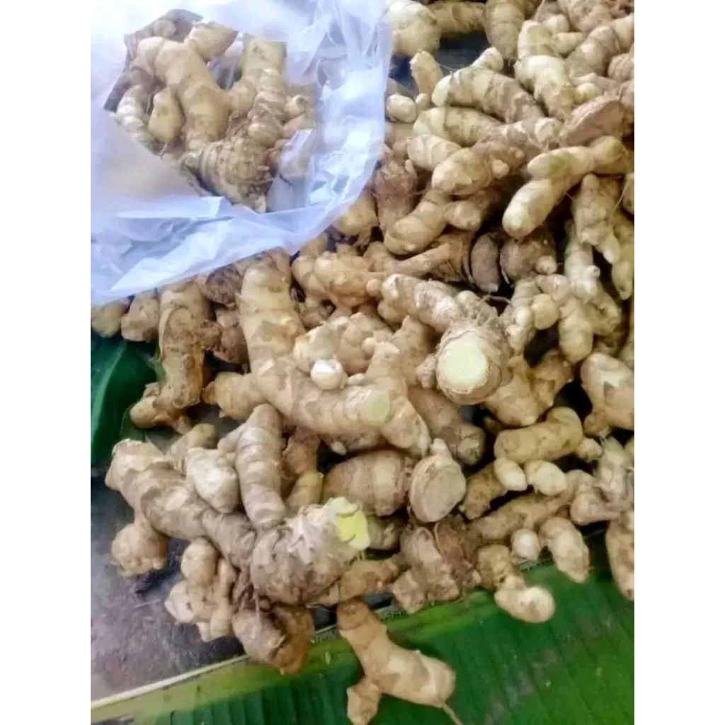 

kunyit putih 1kg