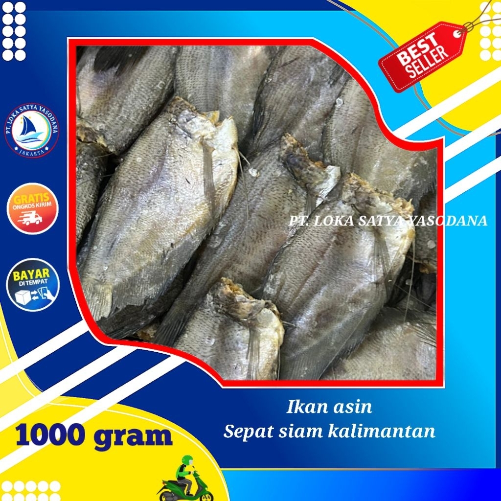 

ikan asin sepat siam super 1000gram / 1 kg