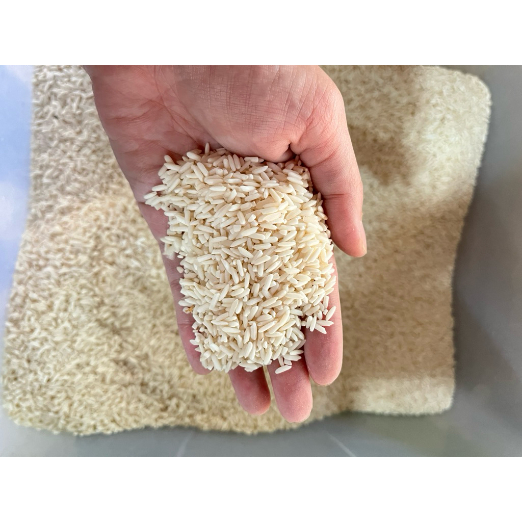 

Beras ketan siyem siam