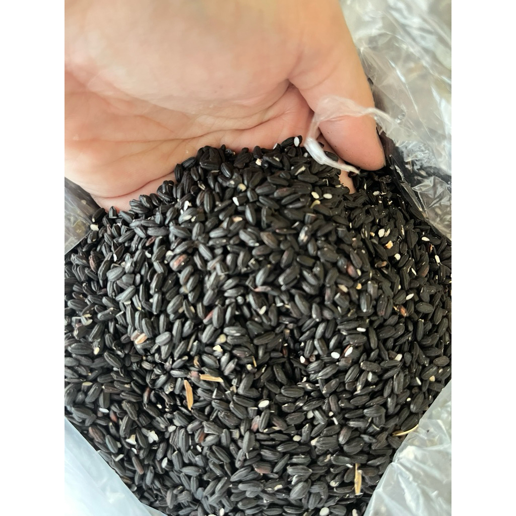 

Beras ketan hitam trawas