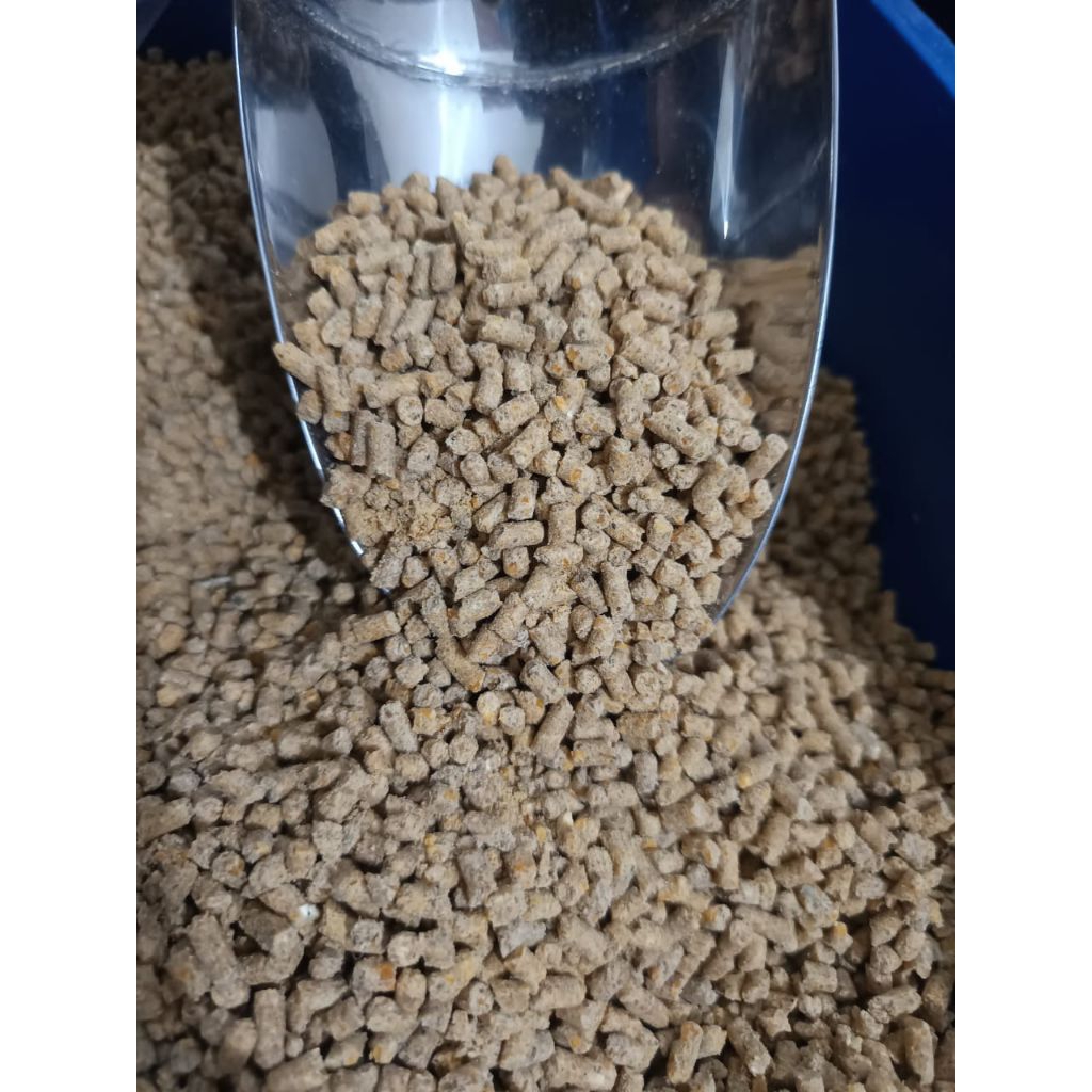 pur babi penggemuk badan ayam pakan ayam