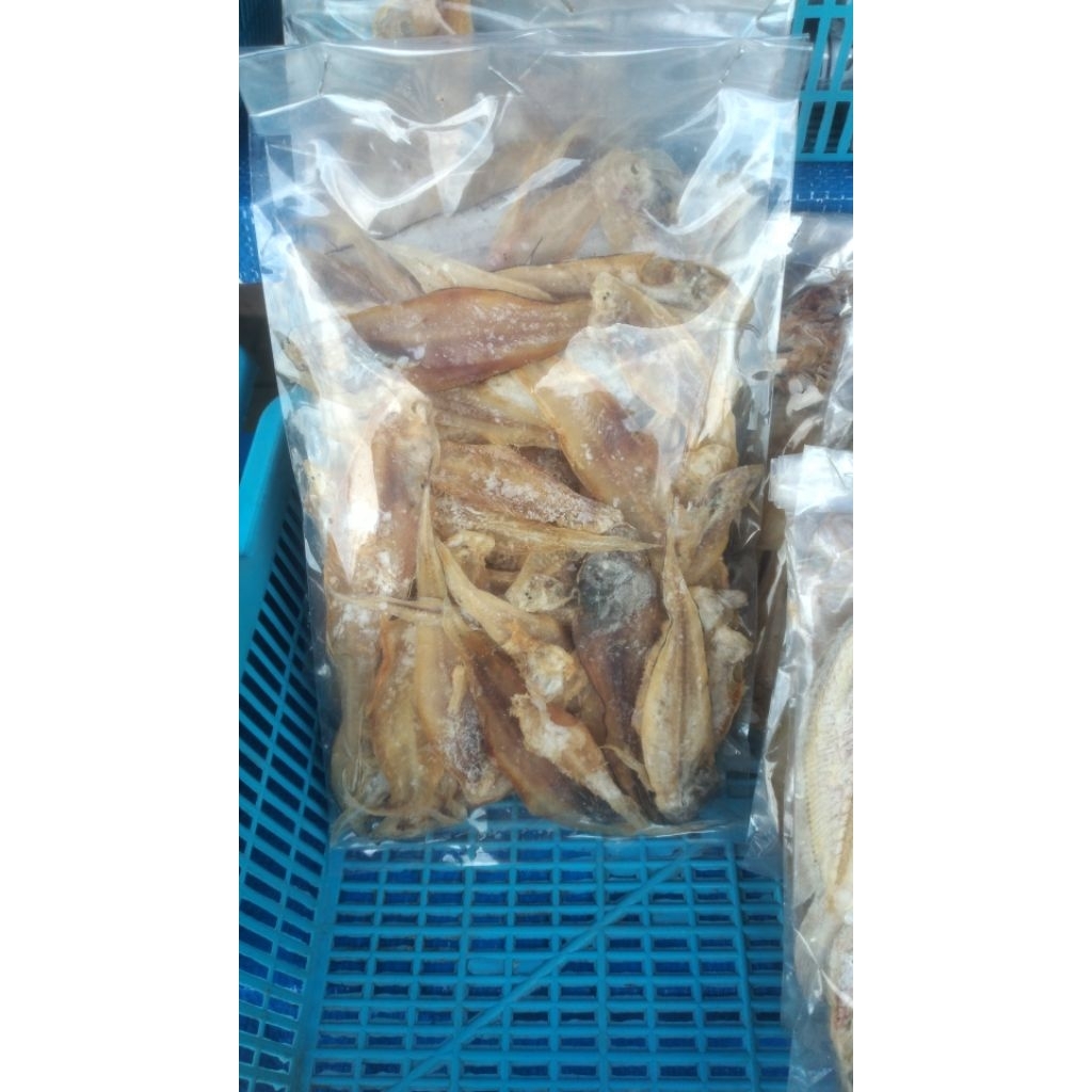 

IKAN ASIN KERING/IKAN ASIN KERING BULU AYAM/IKAN ASIN KERING BULU AYAM PREMIUM/IKAN ASIN KERING KOER/IKAN ASIN KERING KHAS PANGANDARAN/IKAN ASIN KERING BULU AYAM KHAS PANGANDARAN/IKAN ASIN KERING KOER KHAS PANGANDARAN