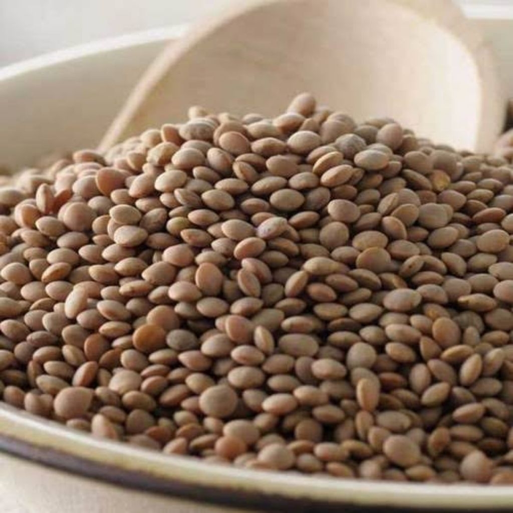 

Organic Brown Lentil 500gram / Lentil Coklat