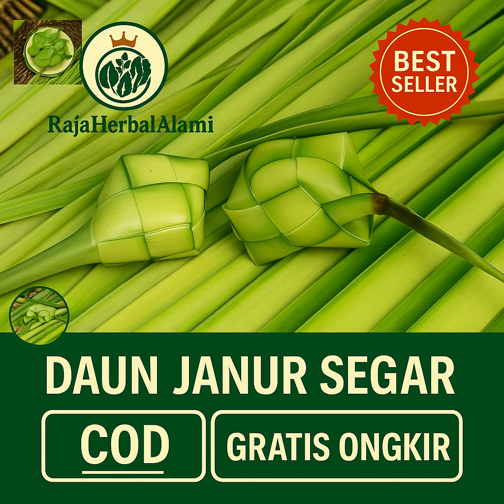 

Daun Janur Segar Per 1 Lembar – Cocok untuk Dekorasi, Anyaman, dan Kebutuhan Tradisional
