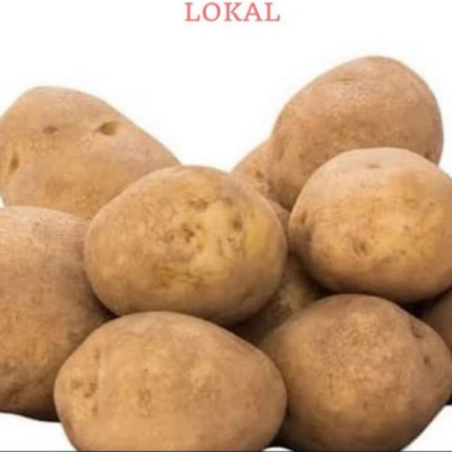 

KENTANG LOKAL 1KG/KENTANG BESAR 1KG/ KENTANG SUPER 1KG/KENTANG MALANG 1 KG/KENTANG MURAH/KENTANG FRESH