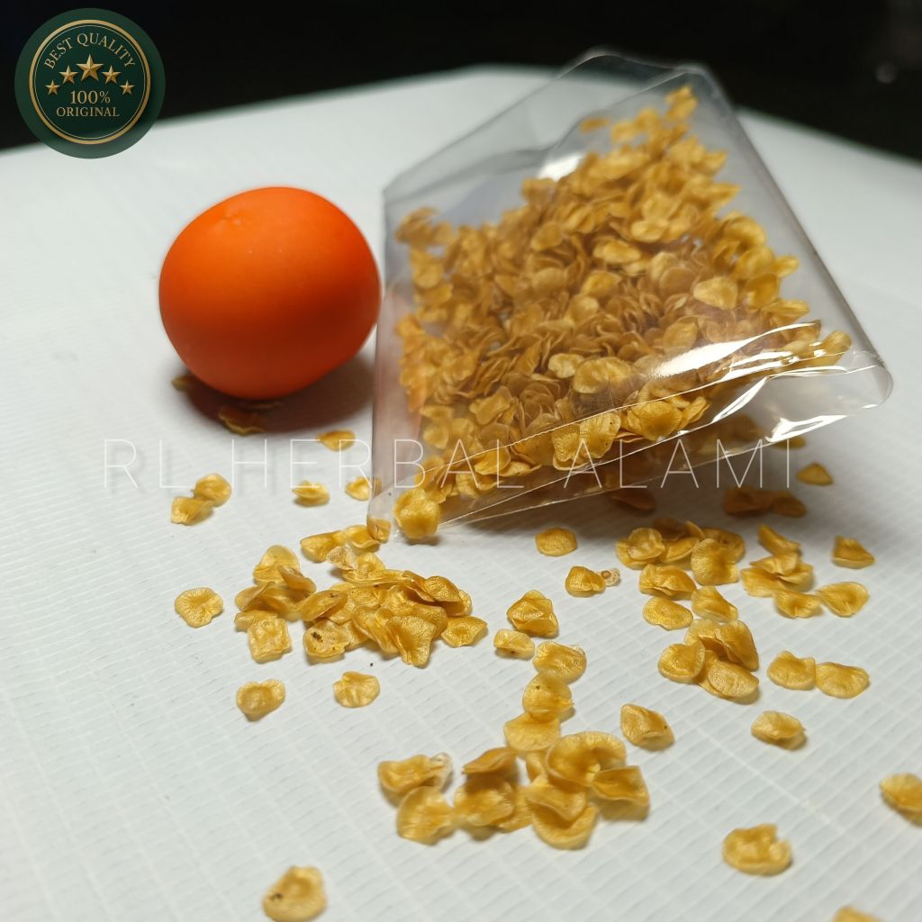 

Biji terong pari kering atau terong hutan,terong duri - pck