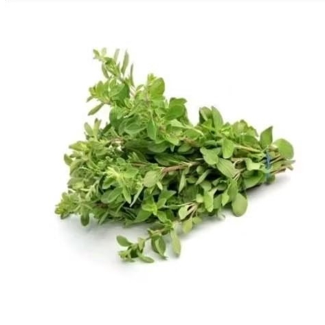 

Marjoram Organik || 50gram || Organic Herbs