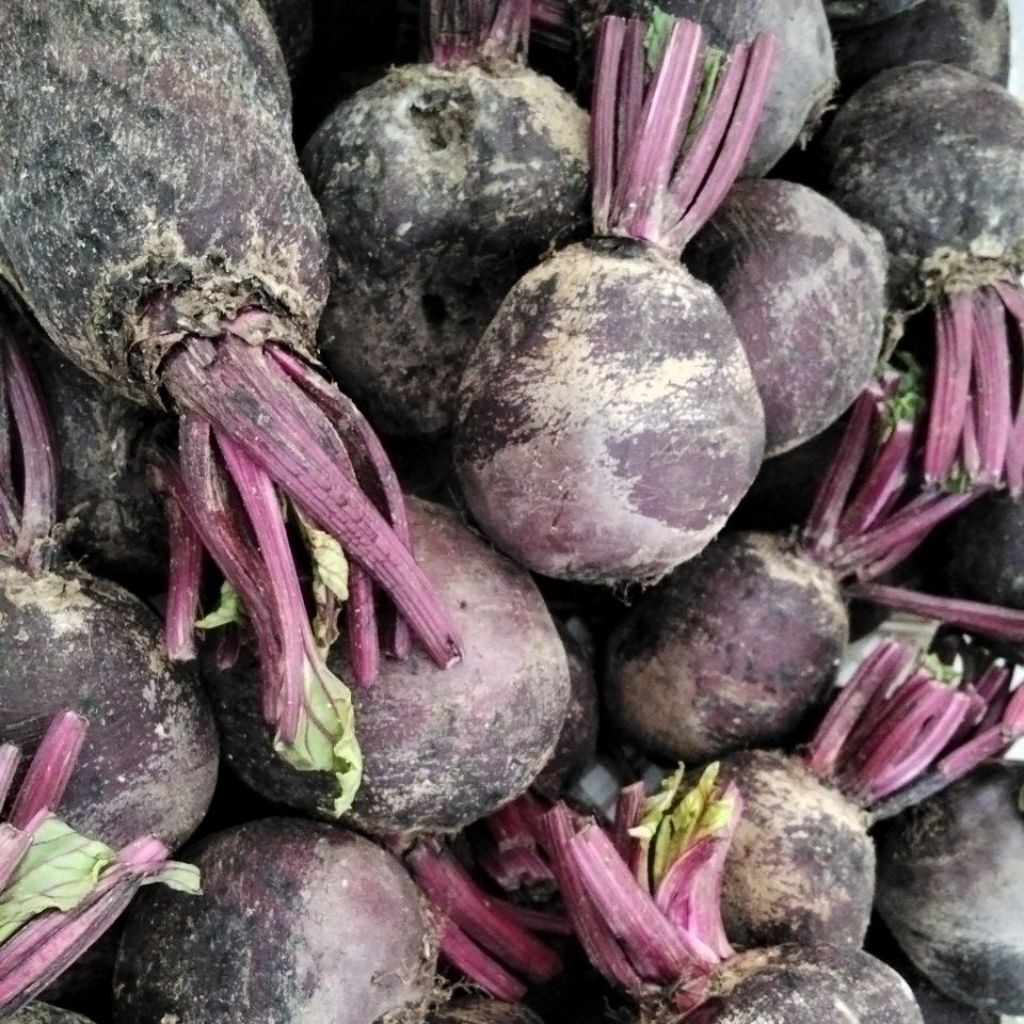 

Buah Bit (Beetroot)