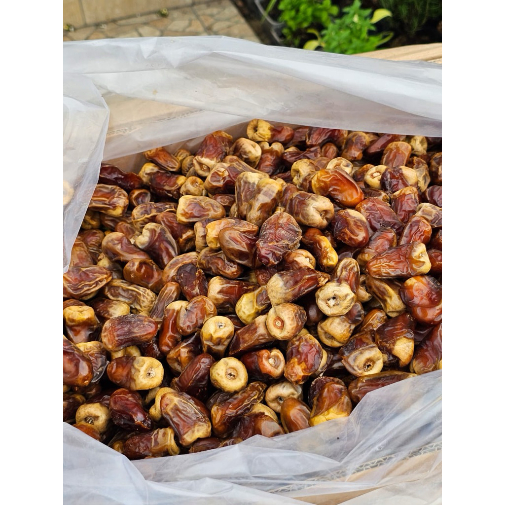

kurma susu
