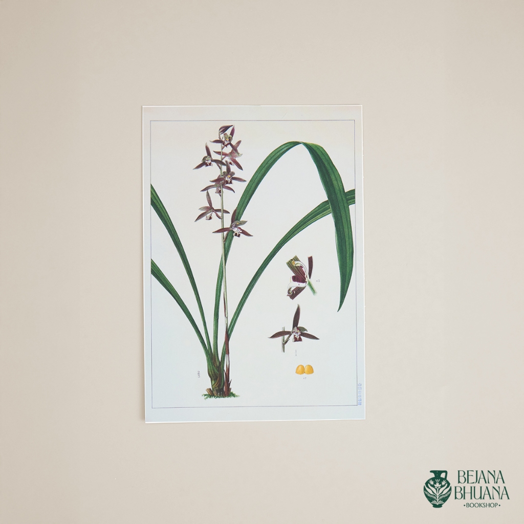 

ORCHID POST CARD | ANGGREK POST CARD | JAPAN POST CARD | BEJANA MERCHANDISE | TYPE 5