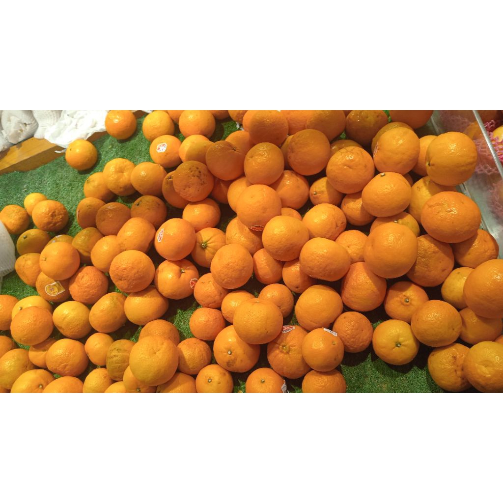 

Buah Jeruk Wogan 500 Gram