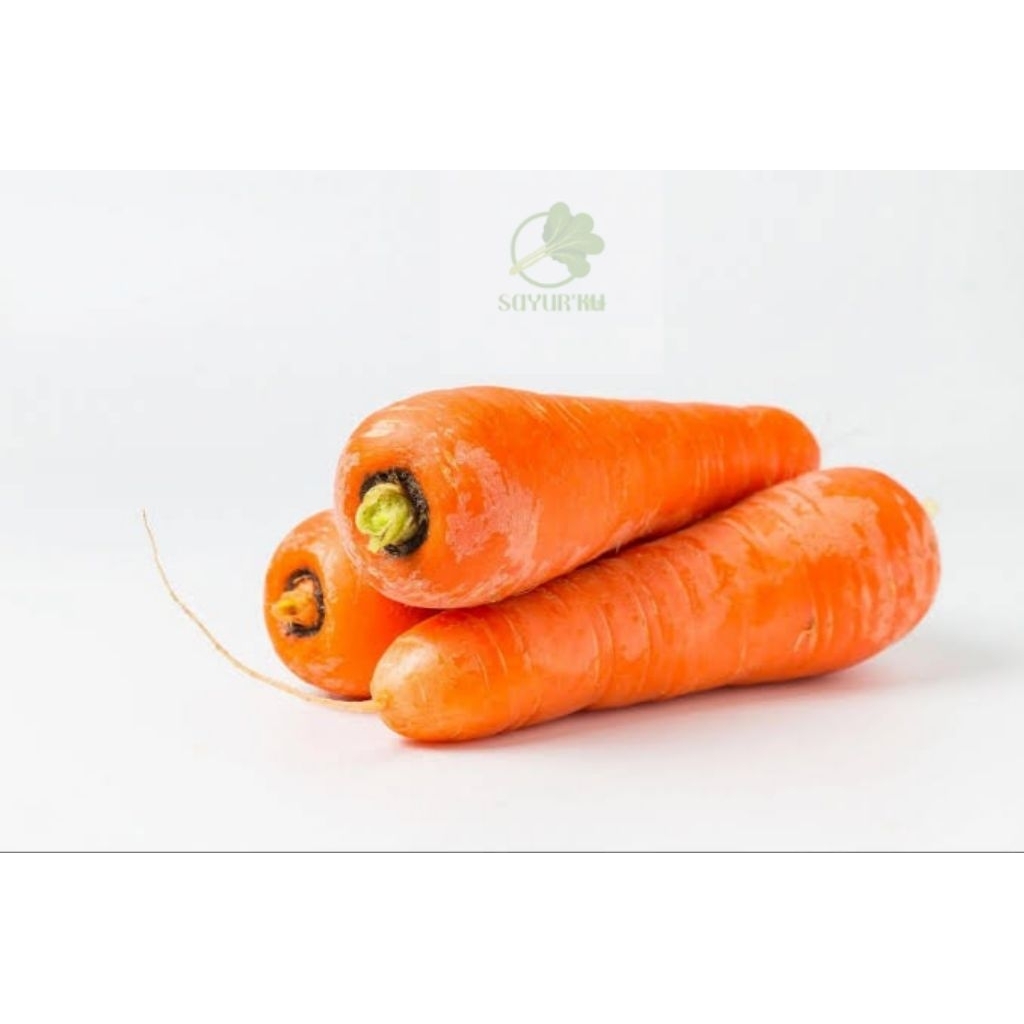

sayur wortel segar 1kg