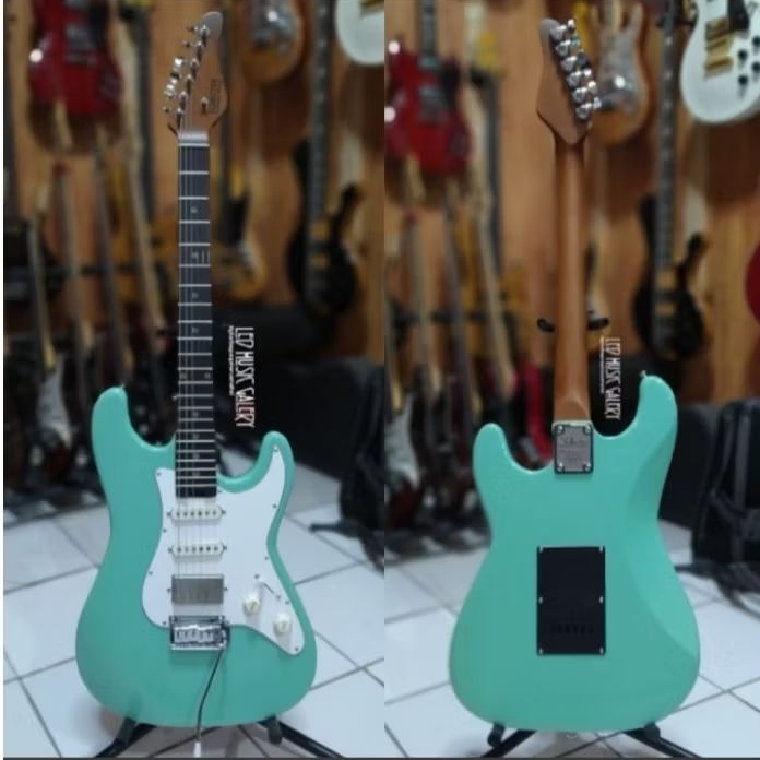 Gitar Schecter Nick Jhonston Custom