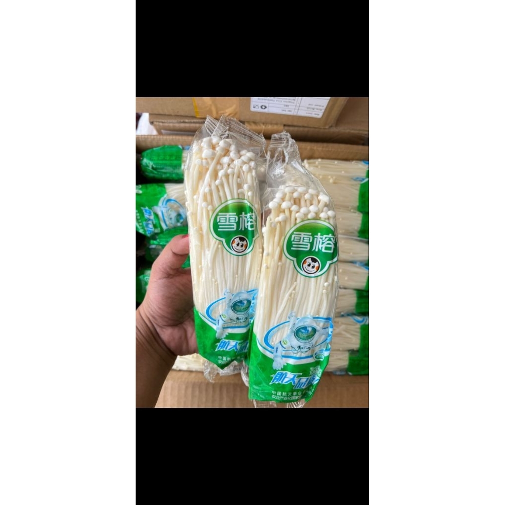 

jamur Enoki