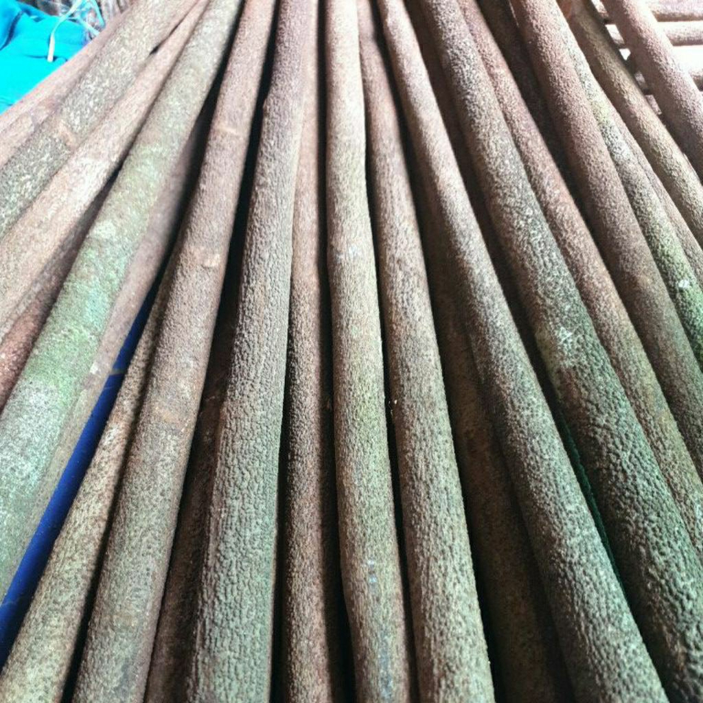 TANGKRINGAN BURUNG ASEM BALI JALAK,MURAY,KEPODANG,BEEO,POKSAY DLL SERAT KASAR LURUS