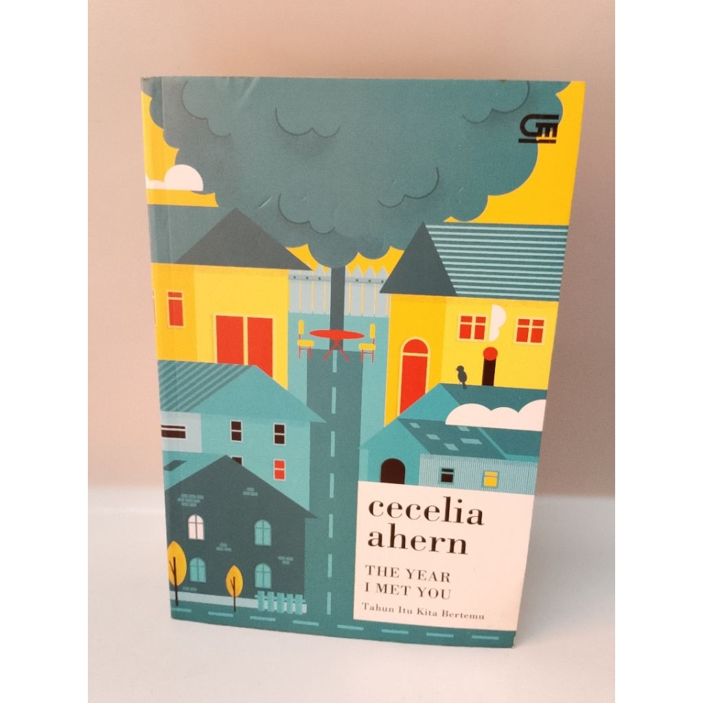 Novel CECILIA AHERN -The Year i Met You