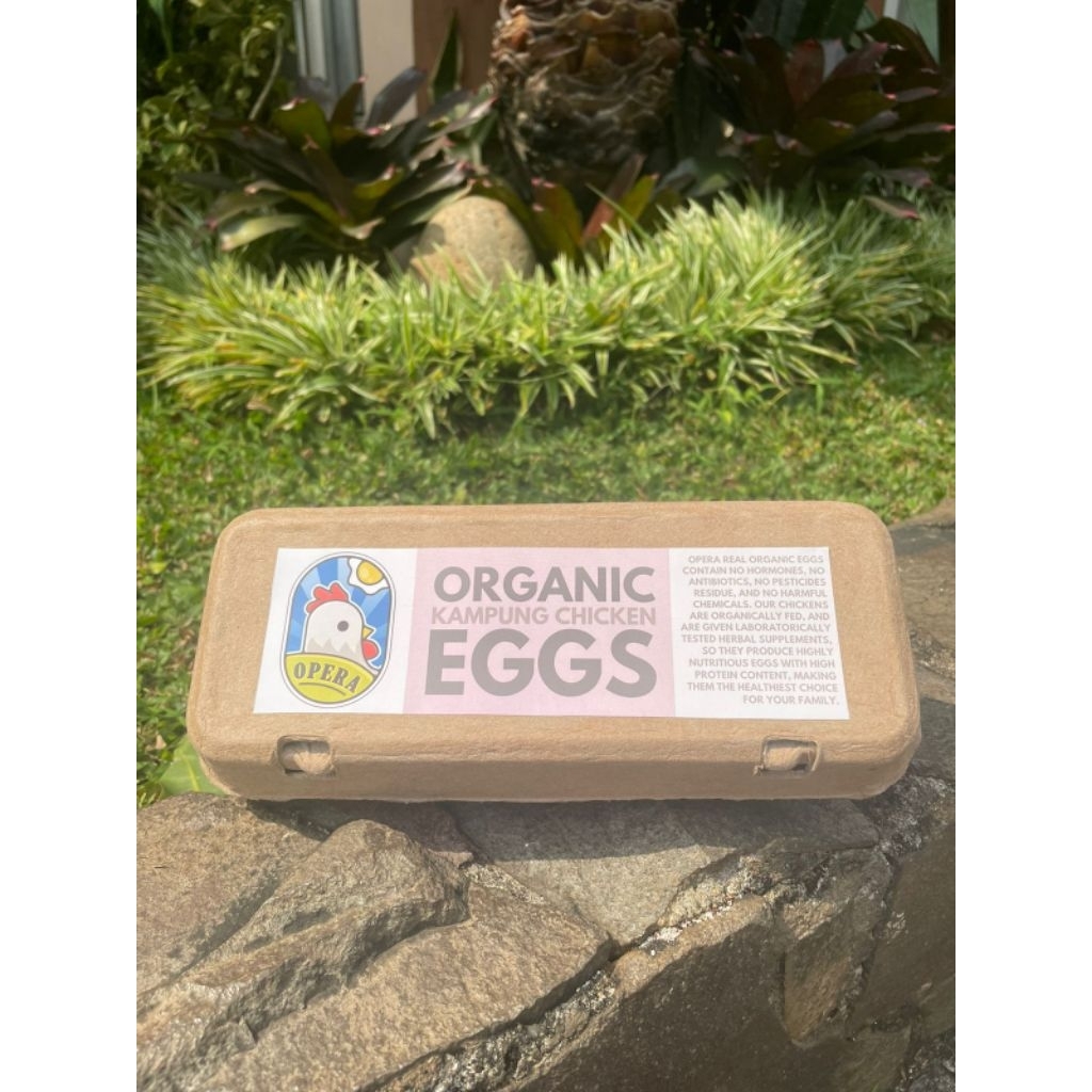 

Telur Ayam Kampung Organik 10btr