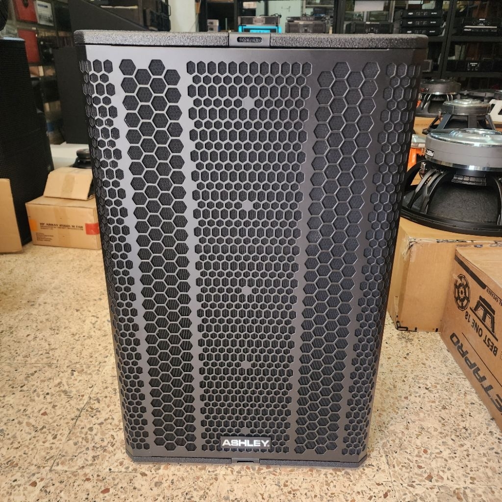 Speaker Pasif Ashley T24 Fs T 24 Fs T24Fs Original Ashley