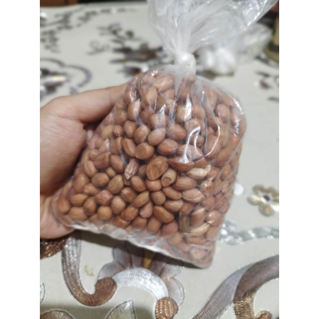 

Kacang tanah