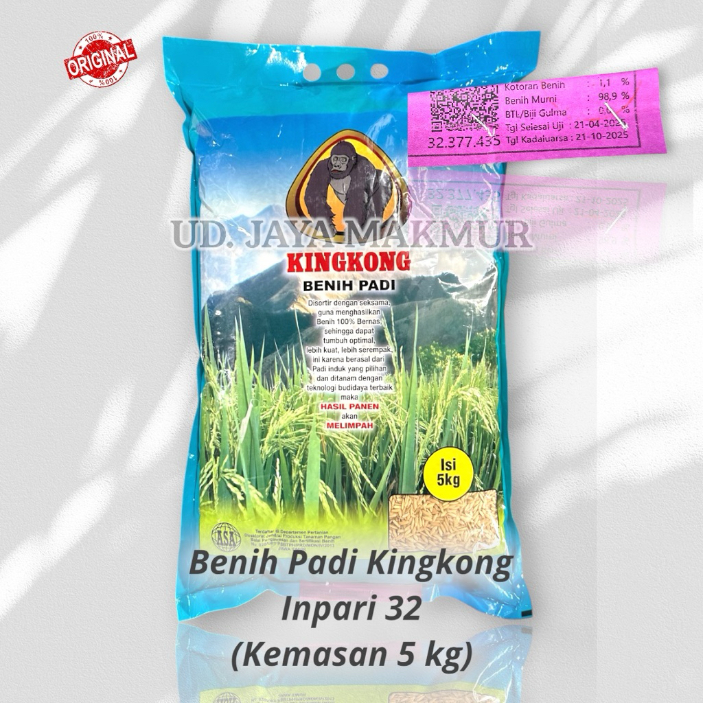 Benih Padi Kingkong Inpari 32 Premium Unggul Jumbo 5kg