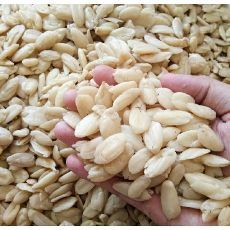 

KACANG KENARI KUPAS 200 GR REPACK