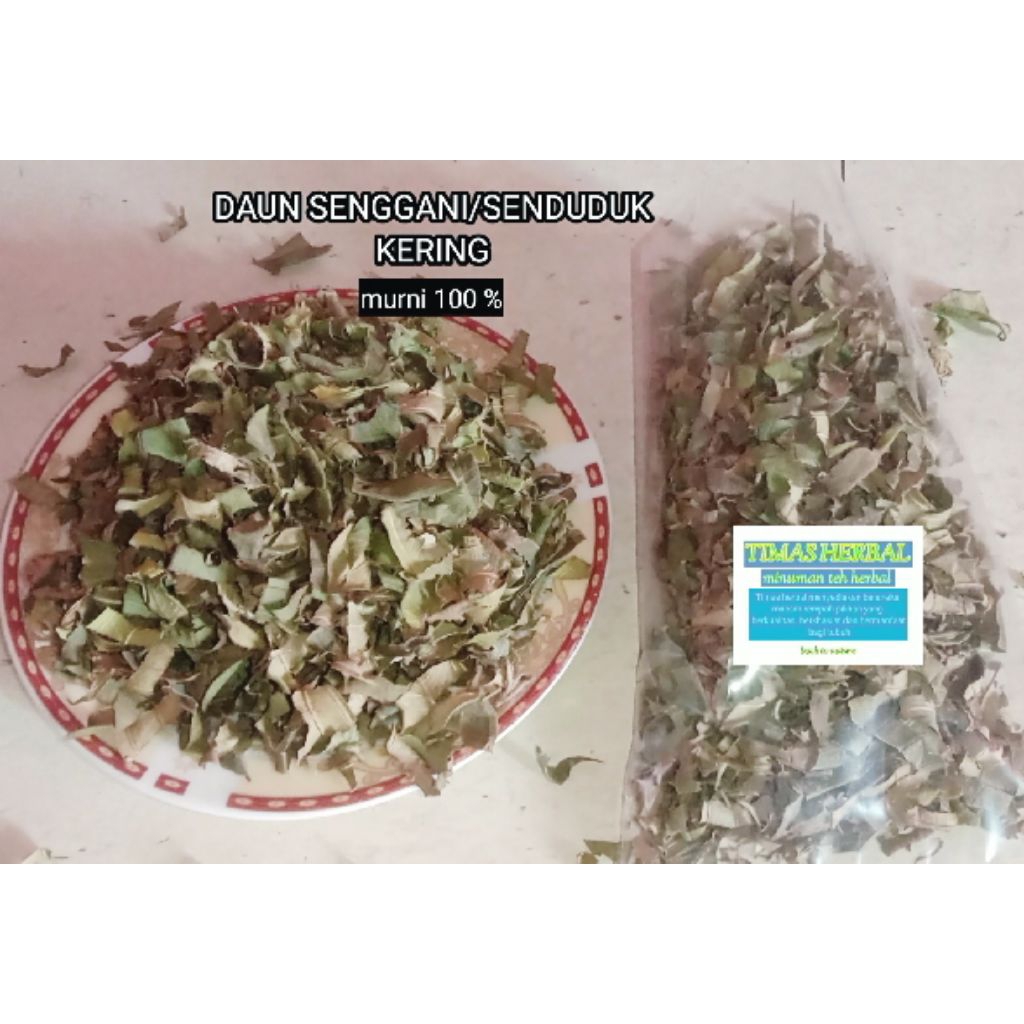 

daunsenggani/sendudukkering,, 500gram,,1pack/bungkus