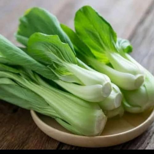 

Pakcoy Fresh Berkualitas - Pakcoy Segar Murah Berkualitas - Pakcoy Terdekat