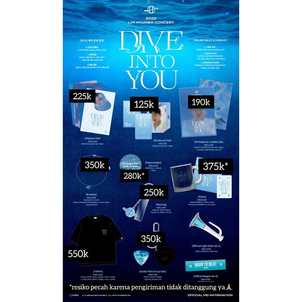 MD merchandise official BTOB fancon Japan Hyunsik dive into you our dream