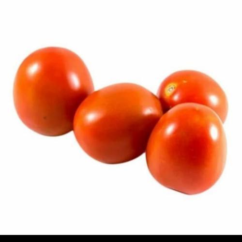 

Tomat Merah Fresh - Tomat Merah Segar Berkualitas - Tomat Merah Fresh Terdekat