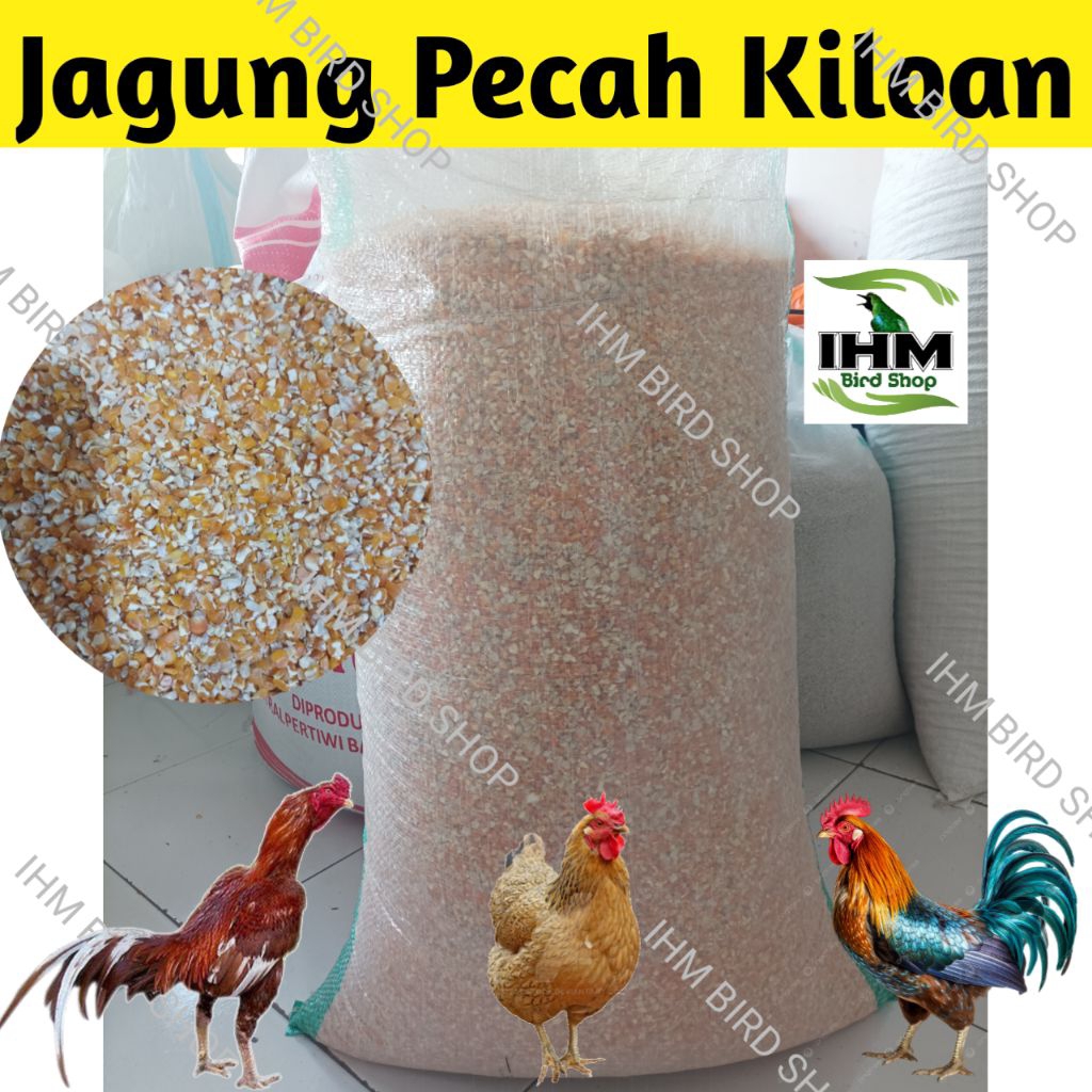 IHM - Jagung Pecah 1kg Pakan Ternak & Industri Pakan Ayam & Burung Jagung Pecah 5kg Makanan Ayam & B
