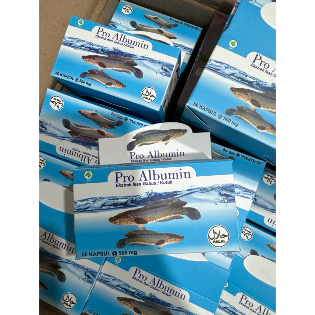 kapsul ikan gabus/kutuk/albumin original albumin