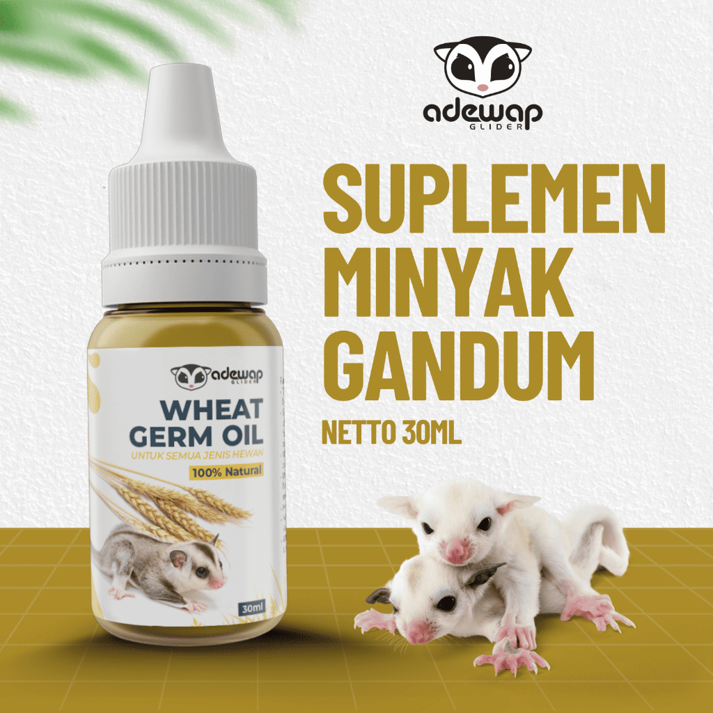 ADEWAP GLIDER Minyak Gandum Wheat Germ Oil Vitamin Sugar Glider