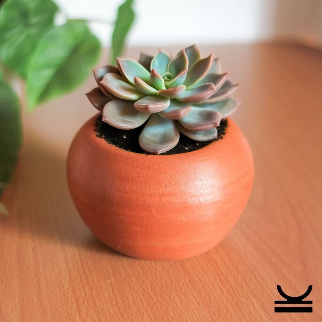 (PB03) Pot Gerabah | Pot Terakota | Pot Tanah Liat | Pot Tanaman | Pot Bunga | Aesthetic