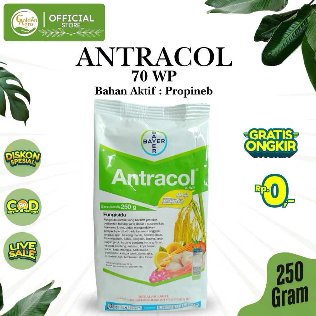 Antracol 250gram, fungisida