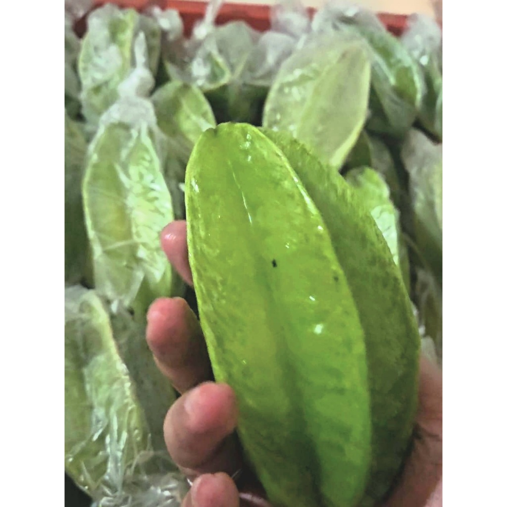 

Belimbing kemasan 1kg (1000gr)