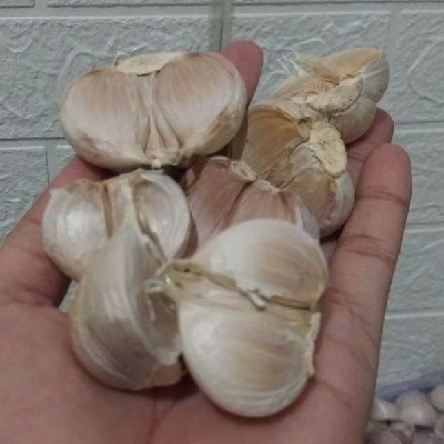

Bawah putih cutting premium 1kg / brambang besar kating garansi fresh