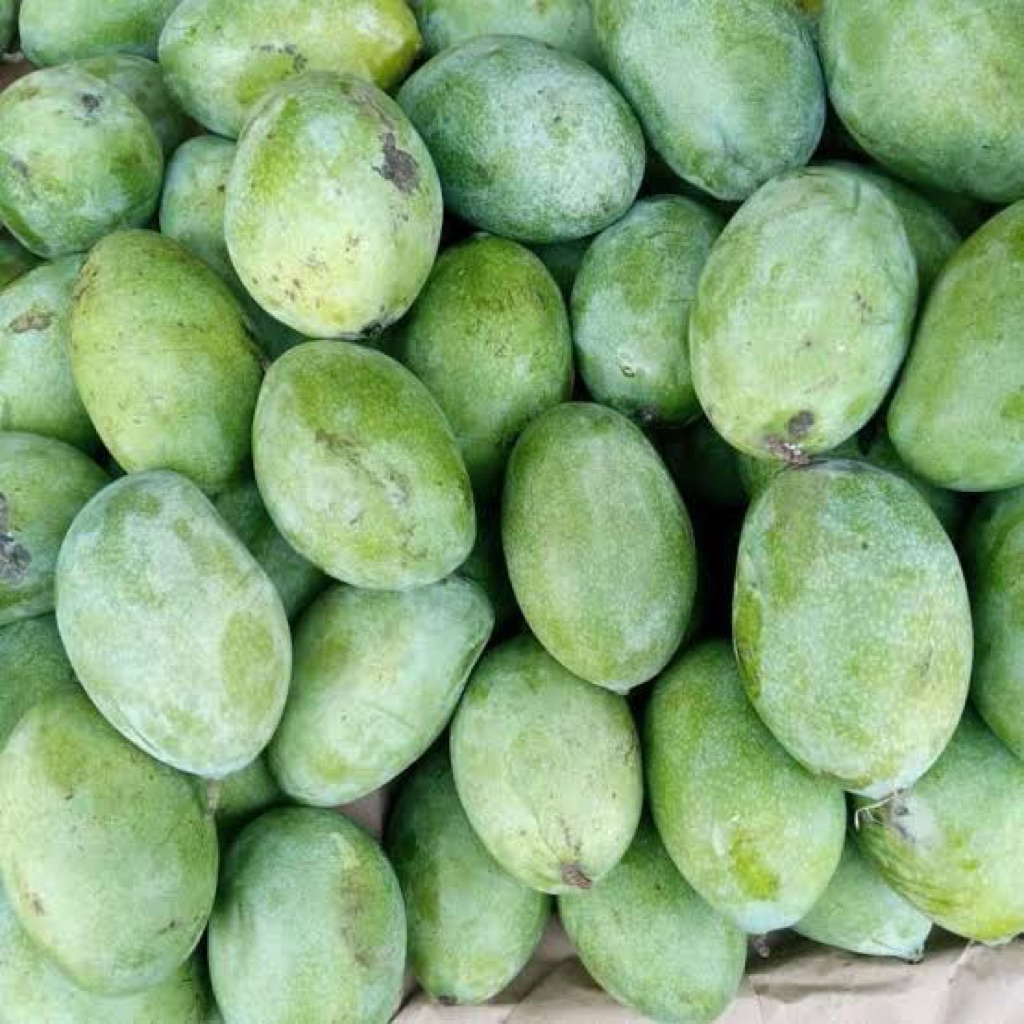 

mangga manalagi fresh 1 kg