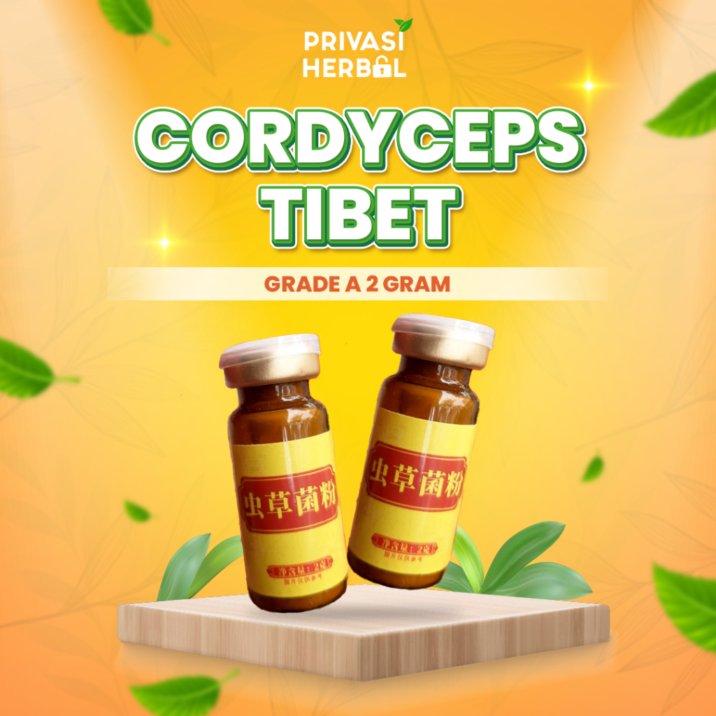 

Privasi Herbal Cordyceps Tibet Grade A 2 Gram Asli Original