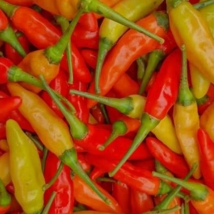 

CABE RAWIT SETAN/PEDAS/MURAH/BERKUALITAS 500gr/PREMIUM