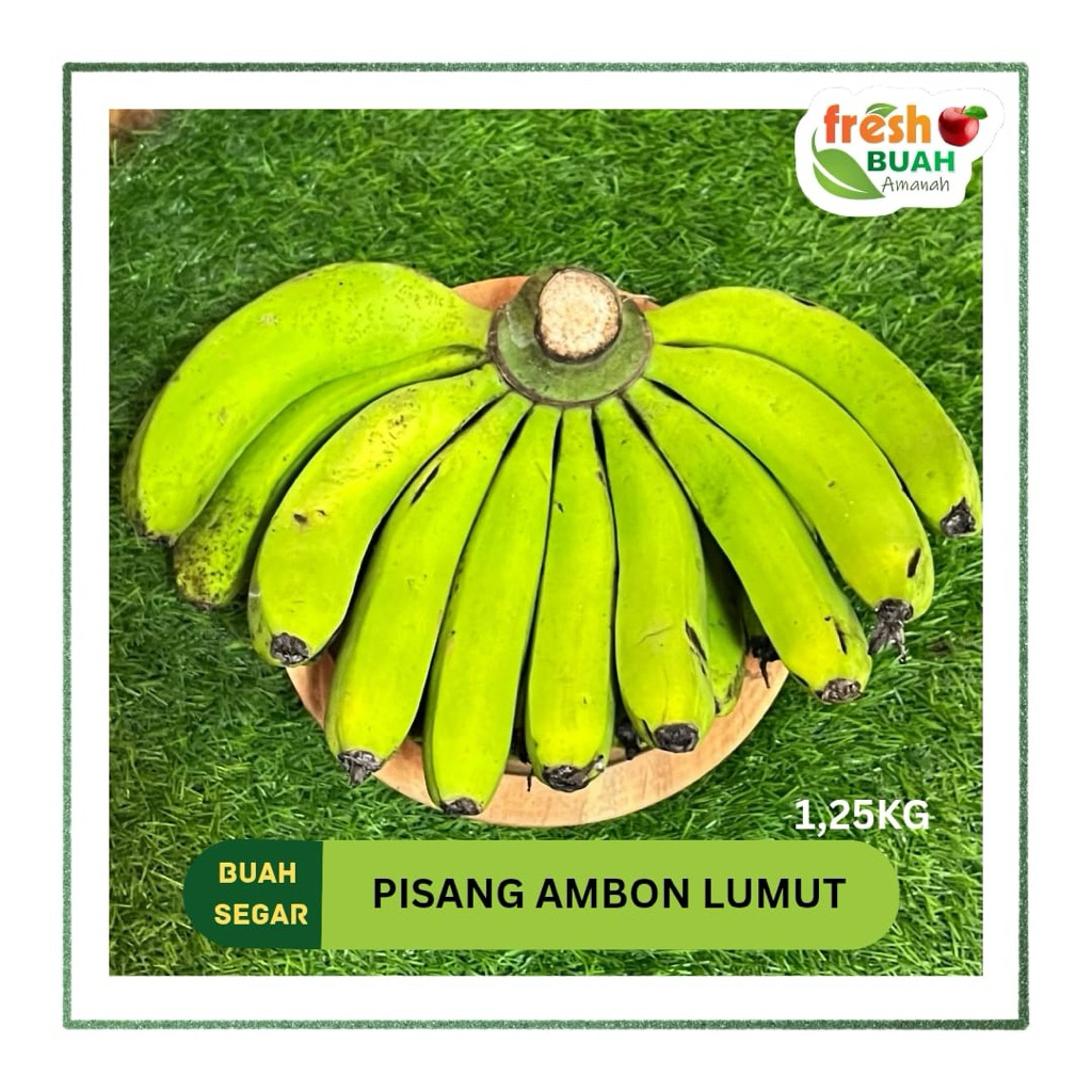 

Pisang Ambon Lumut Cisarua Lembang 1,8kg | 1 Sisir Pisang | Fresh Buah Amanah