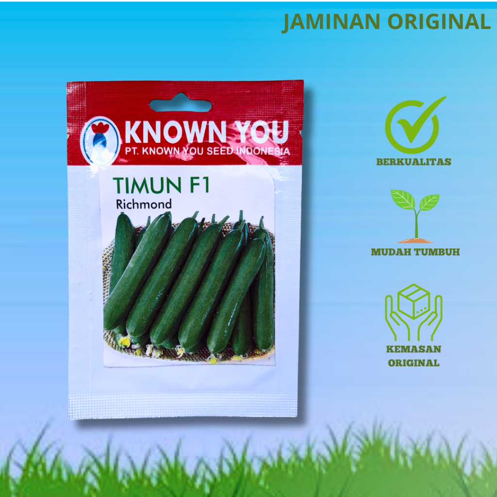 Benih Timun RICHMOND Unggul 20 seed Known You Seed